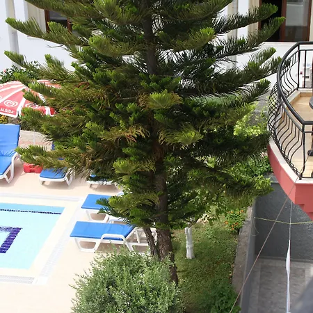 Hotel Minta